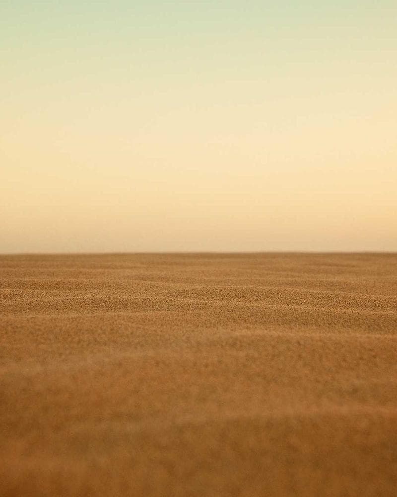 After AI Transformation